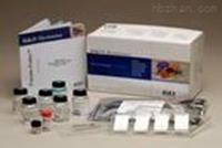 TRAb elisa酶联免疫试剂盒价格