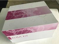猫瘟病毒（FPV）核酸检测试剂盒品牌