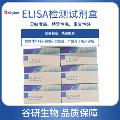 大鼠血管紧张素Ⅱ(ANG-Ⅱ)ELISA试剂盒