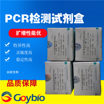 耶氏肺孢子虫探针法荧光定量 PCR 试剂盒